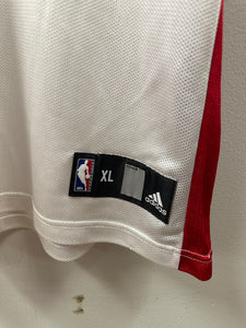Detroit Pistons Richard Hamilton Jersey