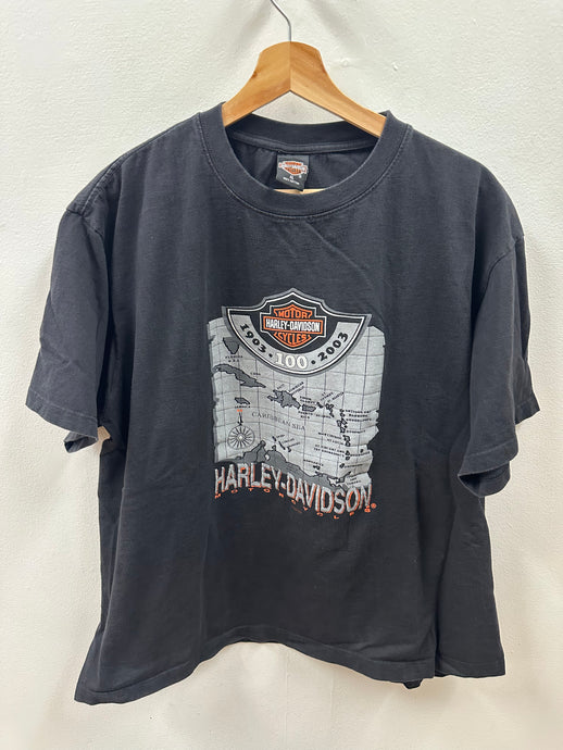 Harley Davidson Shirt