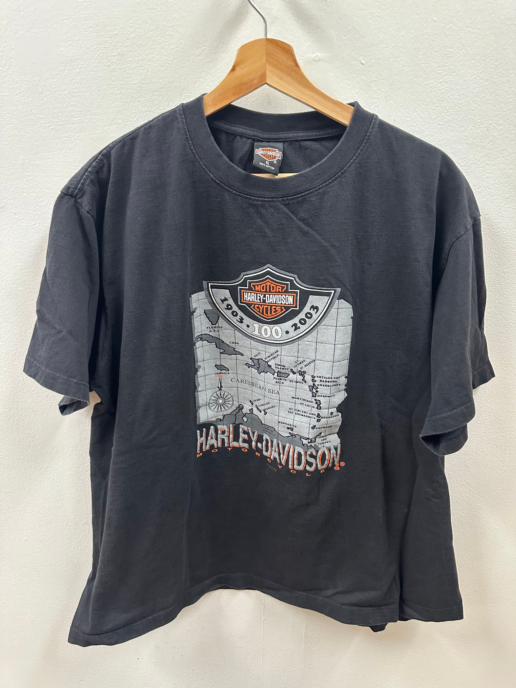 Harley Davidson Shirt